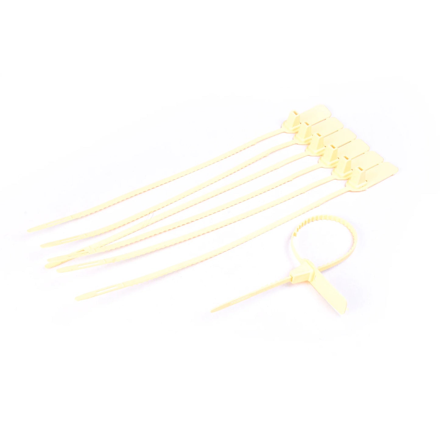 Plastic Pull Tight Seals – Secure & Versatile Tamper-Evident Seals (PTM)